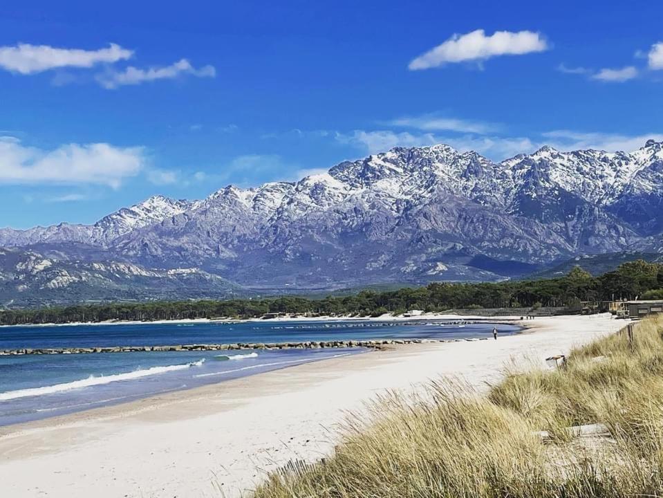 Entre Mer&Montagne Suite Calvi Calenzana Zewnętrze zdjęcie